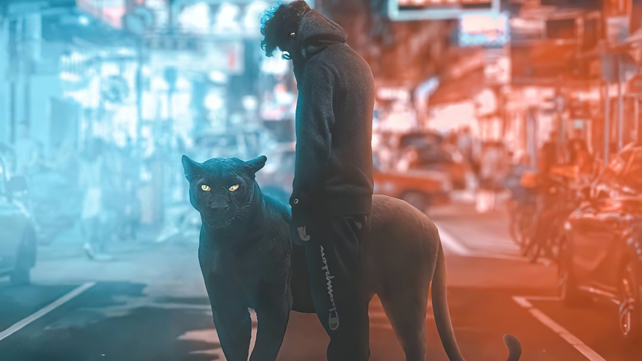 Black Panther And Hoodie Boy 4k
