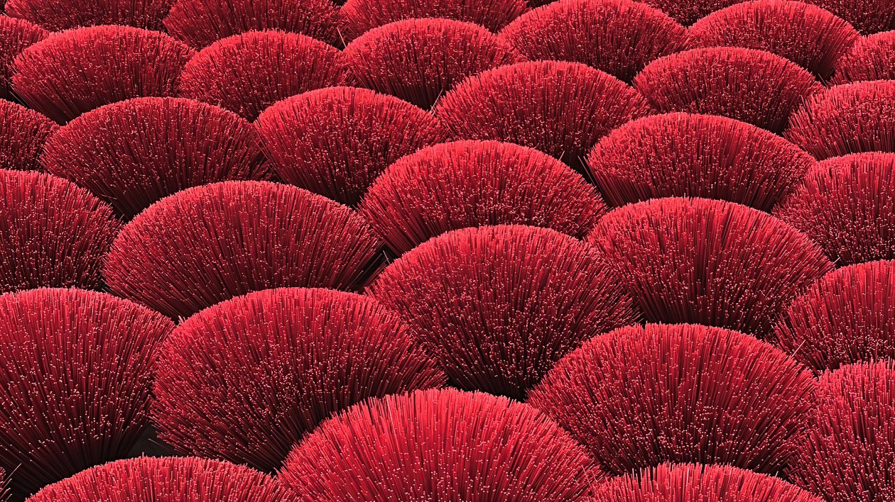 Flowering Plants Petal Field