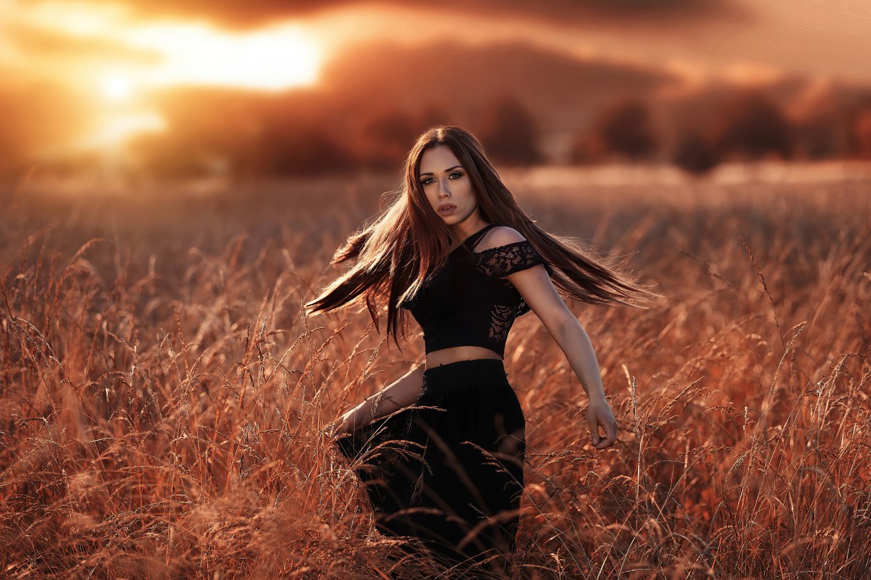 Girl Model Sunset Gold Field 4k