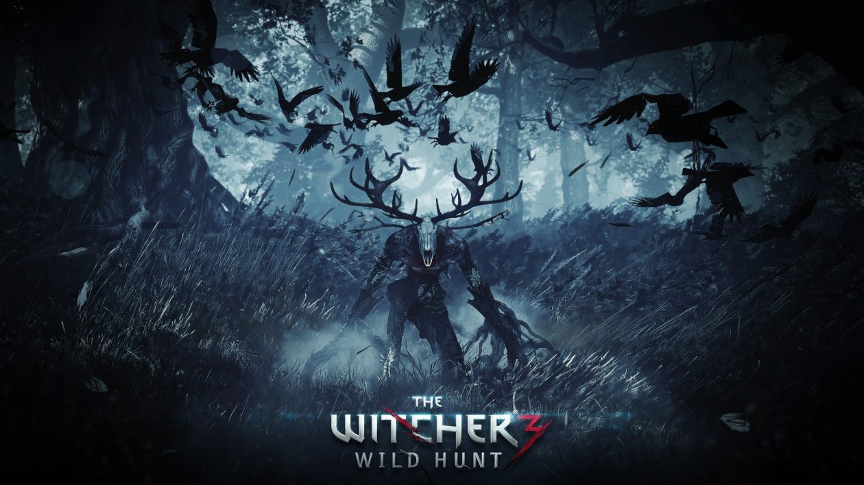 The Witcher 3 Wild Hunt Video Game