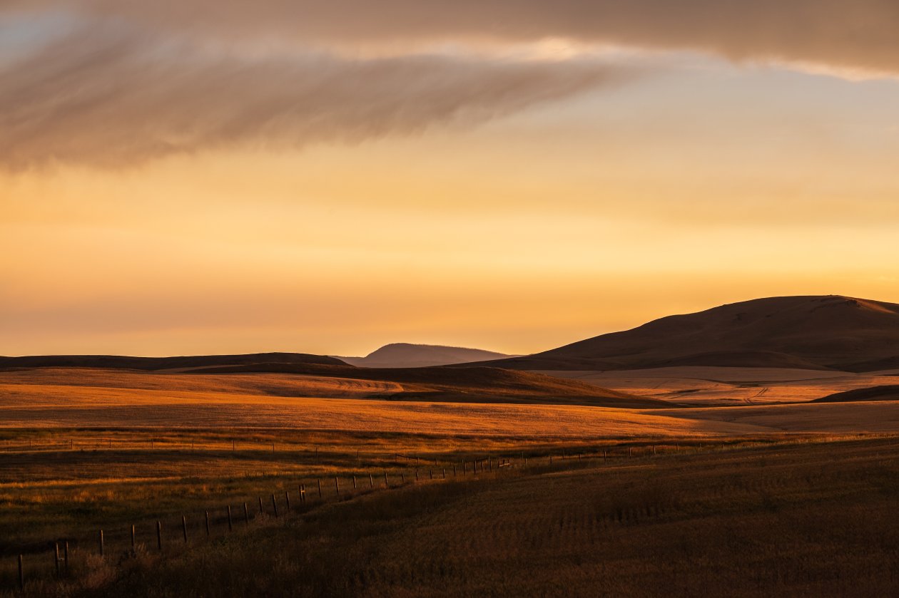 Montana Prairie Montana Plain Evening Light Fuji Color Montana Sunset