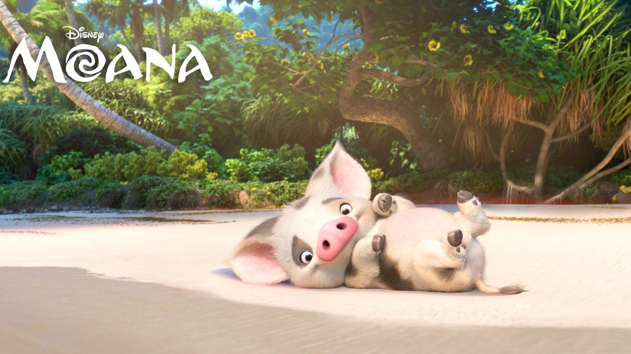 Pua Moana 4k
