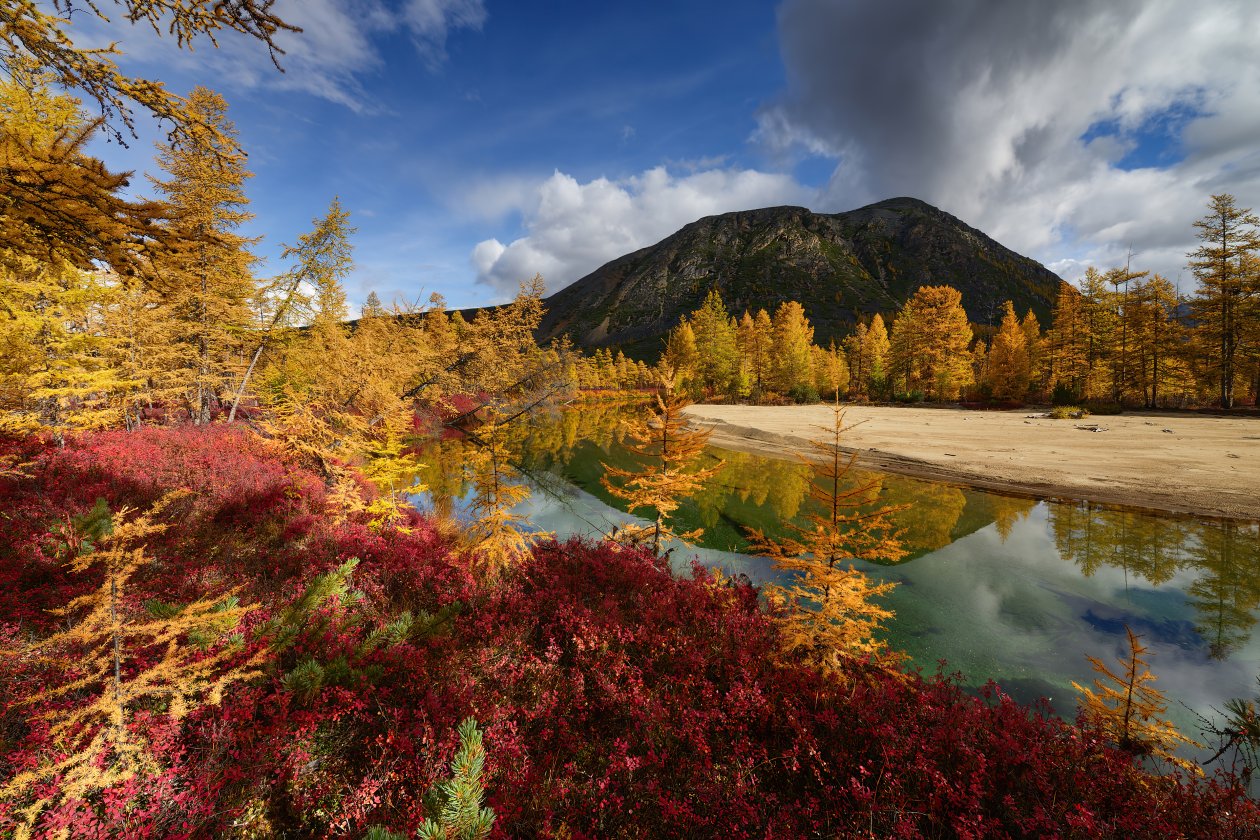 Autumn Mood Jack London Lake 4k