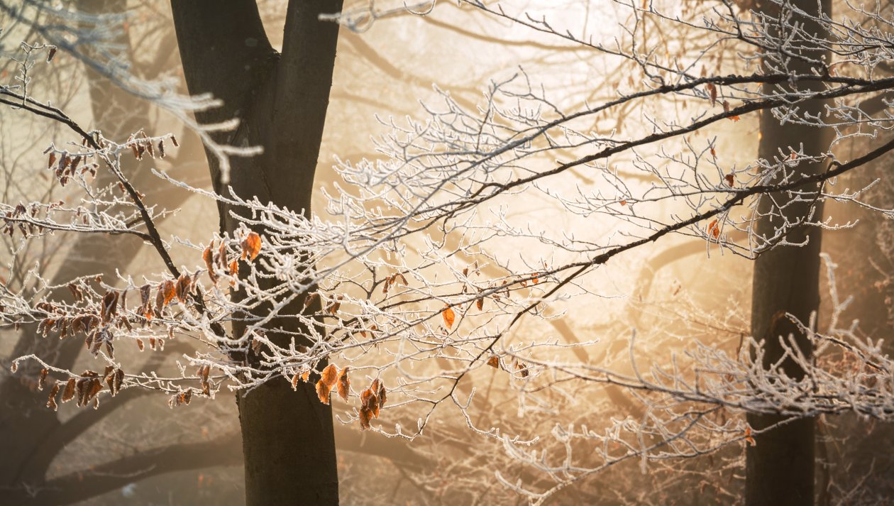 Battling Winter 5k