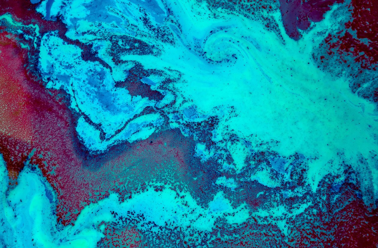 Fond d'écran Coral Reef 5k