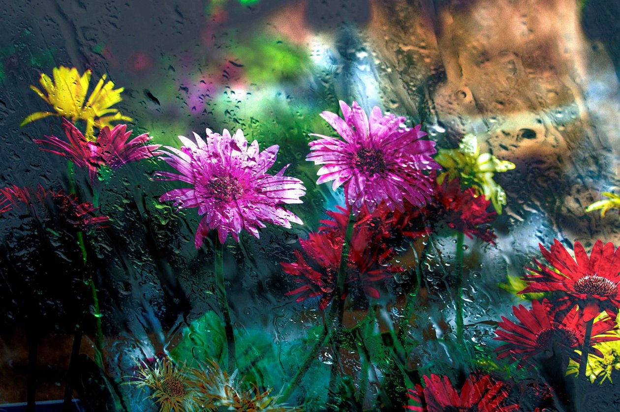 Flowers Behind Glass Drops