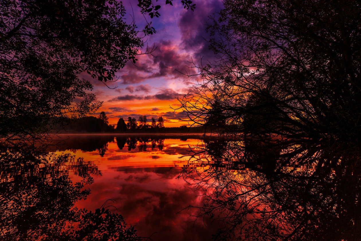 5k Autumn