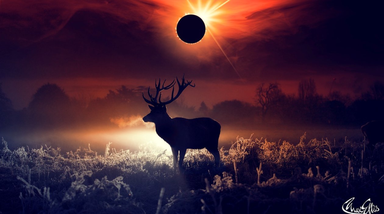 Deer Fantasy Art