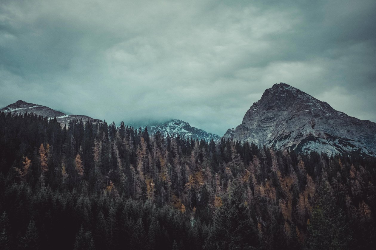 Trees And Mountains 4k