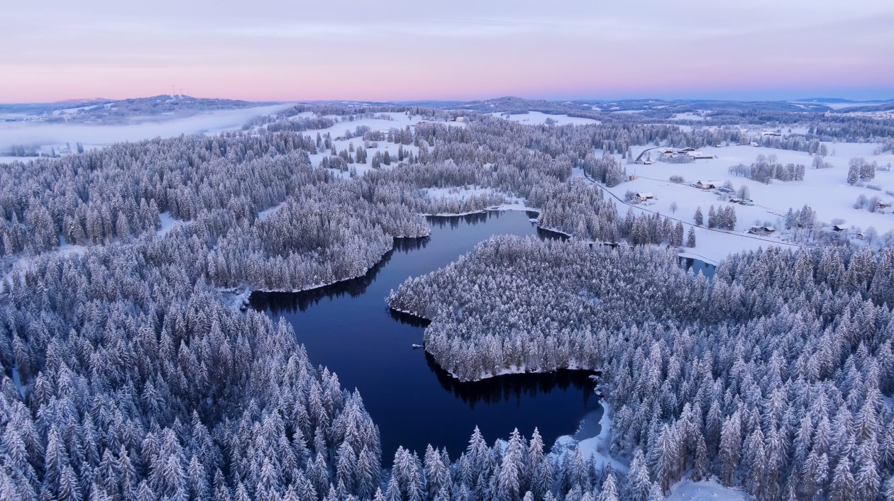 Landscape Winter