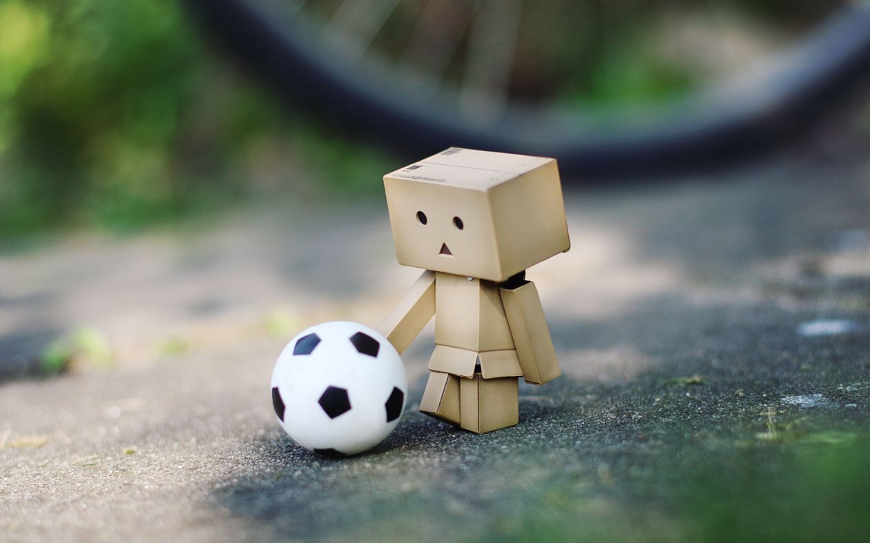 Danbo Soccer Fan