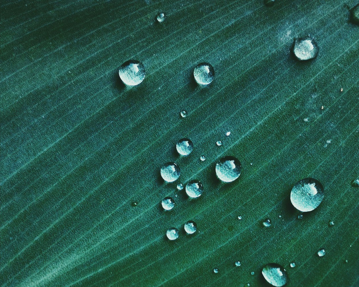 Water Drop On Green Textile Macro