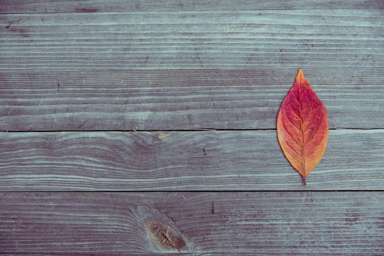 Leaf On Wood Plank Table
