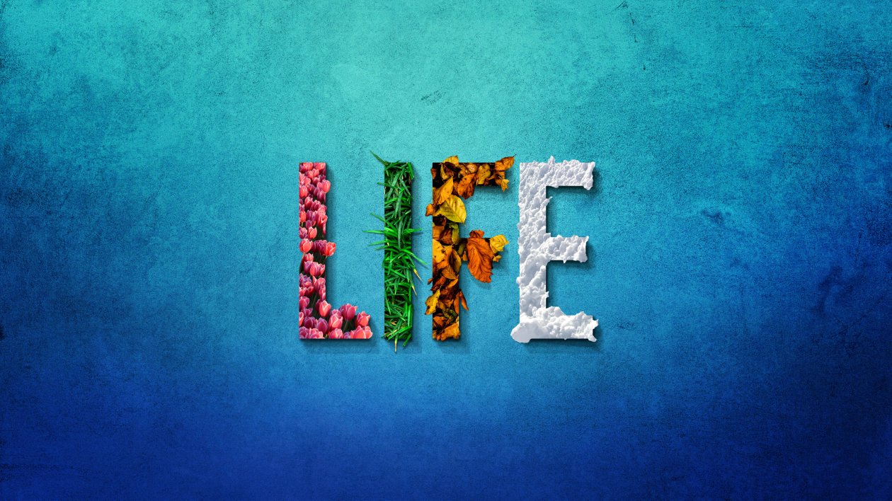 Life Typography 8k