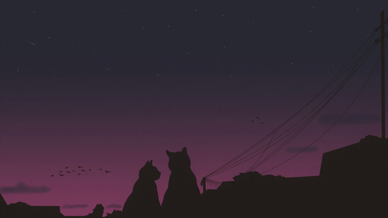 Lofi Late Night Cats