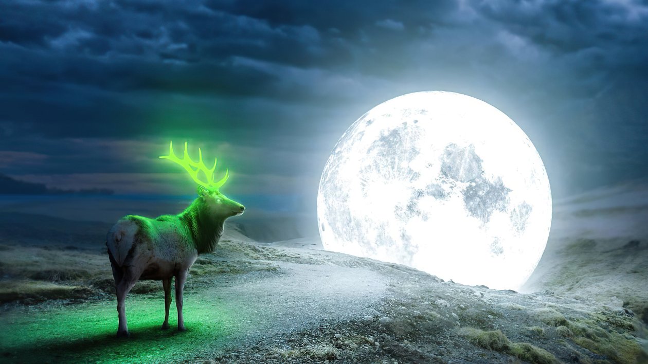 Reindeer Magical Moon