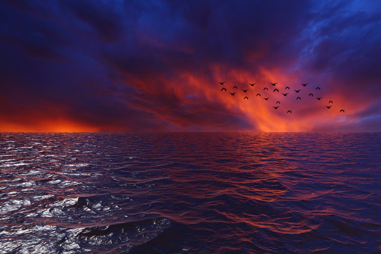 Waves Sky Birds 4k