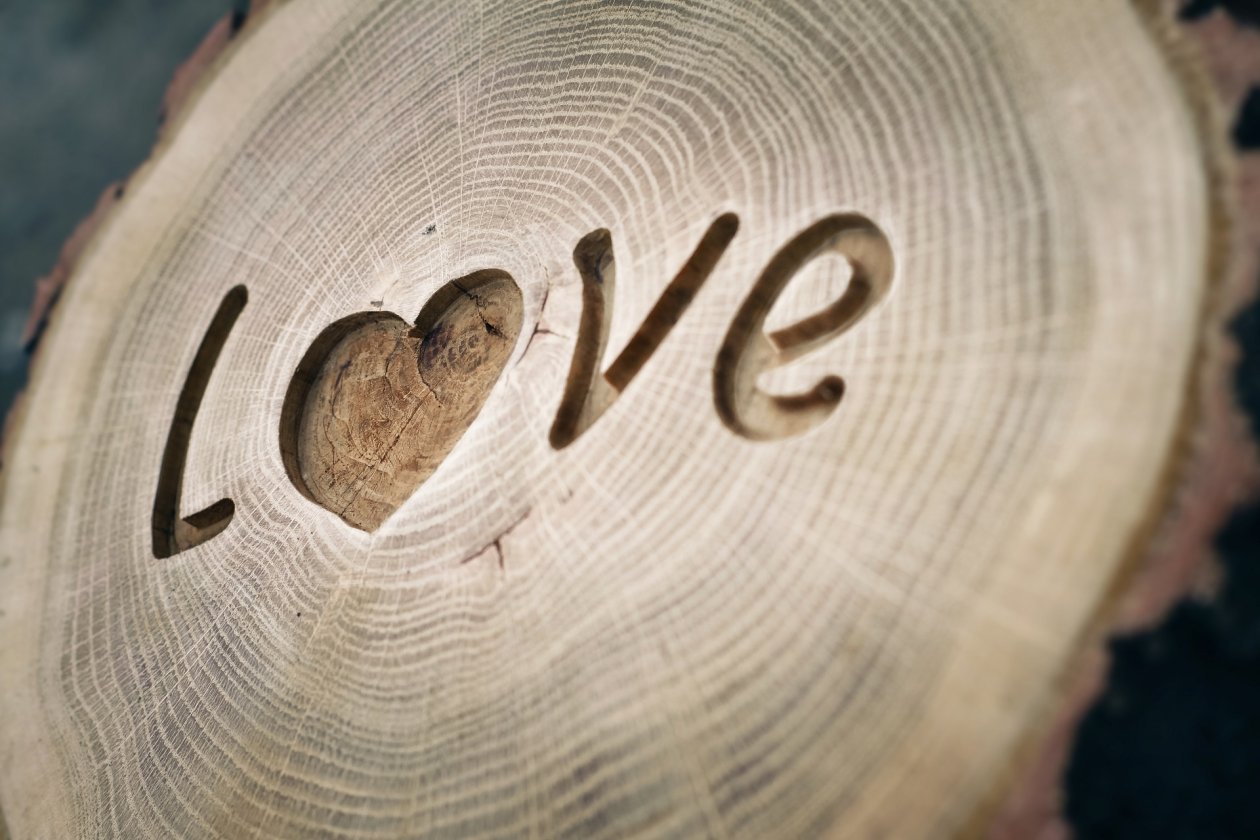 Love Written On Wood