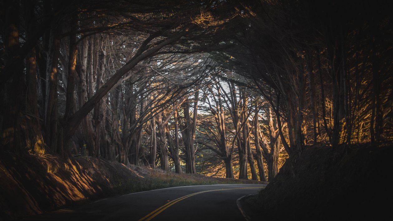 Fall Road Trees Landscape