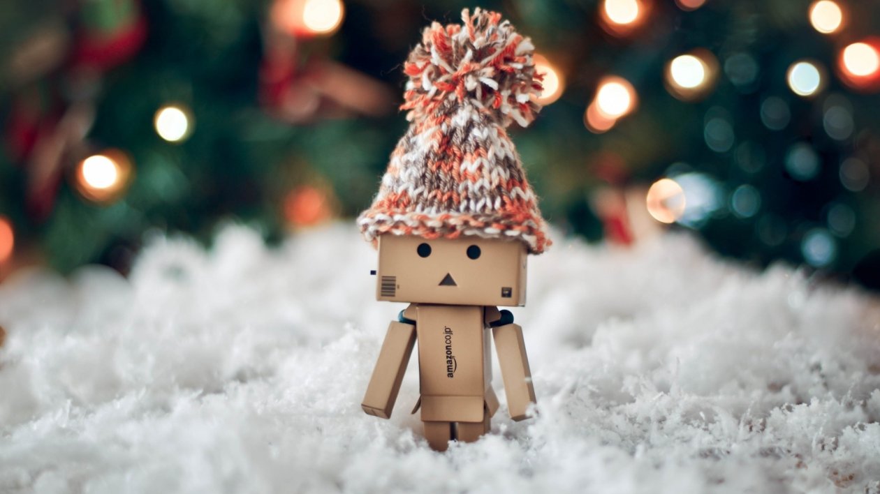 Danbo Christmas