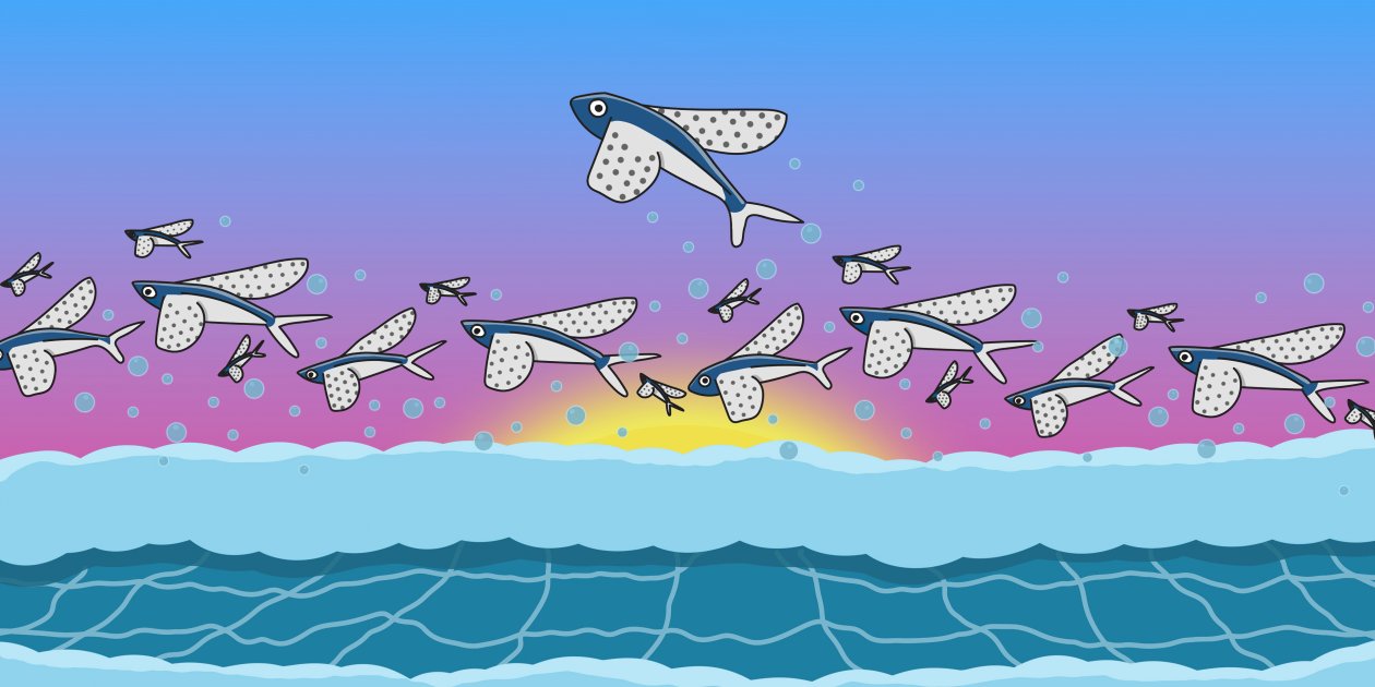 Flying Dolphins