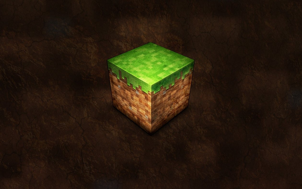 Minecraft Video Game