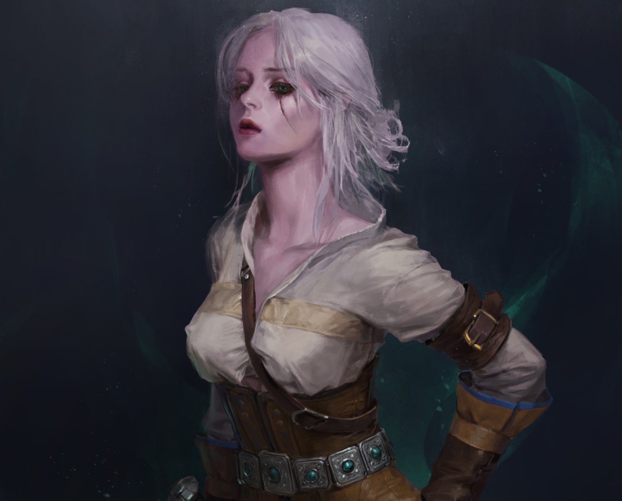 Ciri The Witcher 3 Wild Hunt Artwork