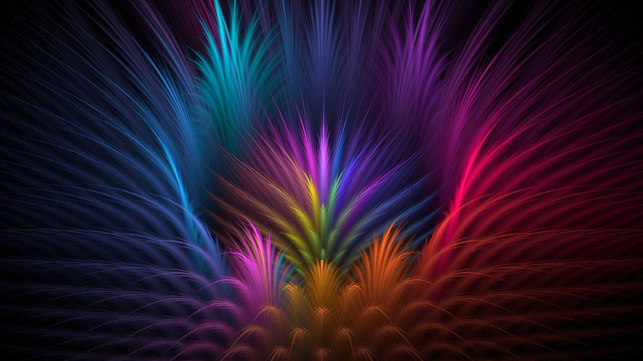 Feathers Colorful Petals