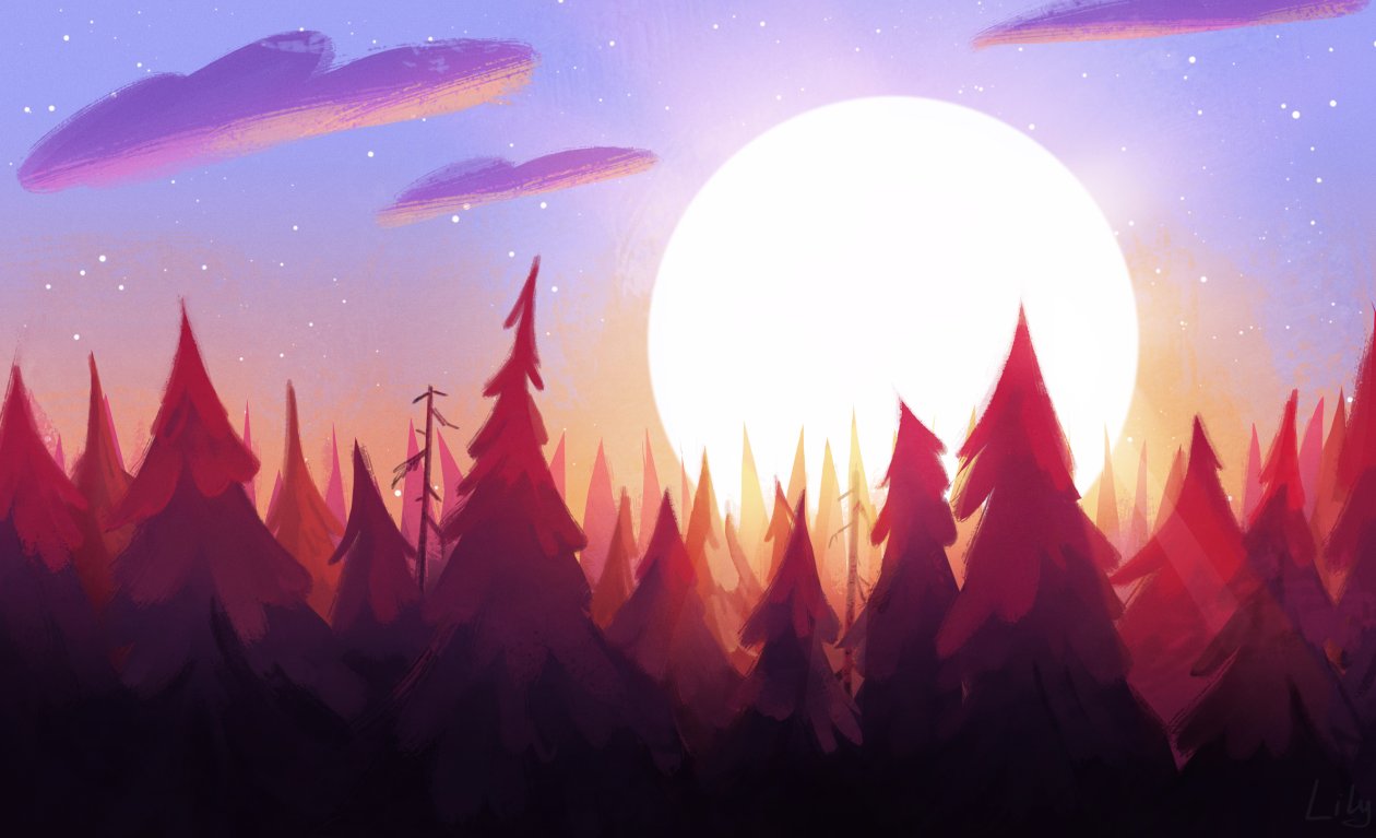 Sun Rising From Trees Morning