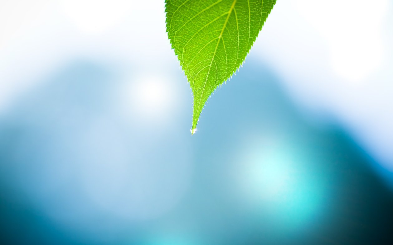Leave Macro