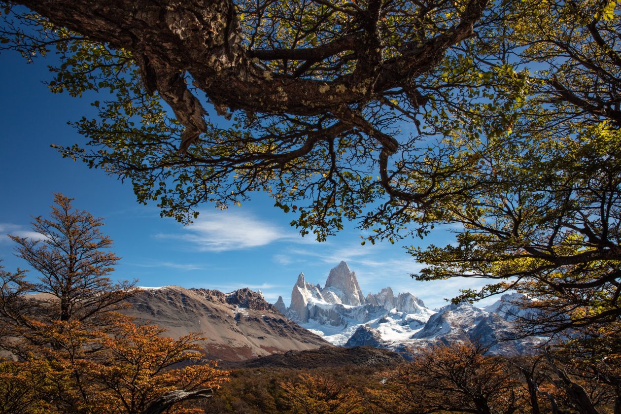 Mount Fitz