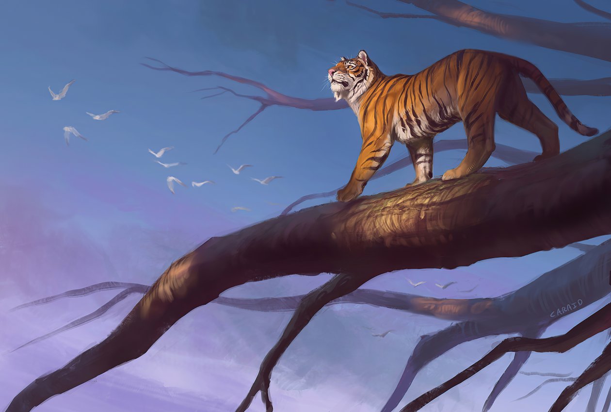 Tiger Branch Sunset 4k