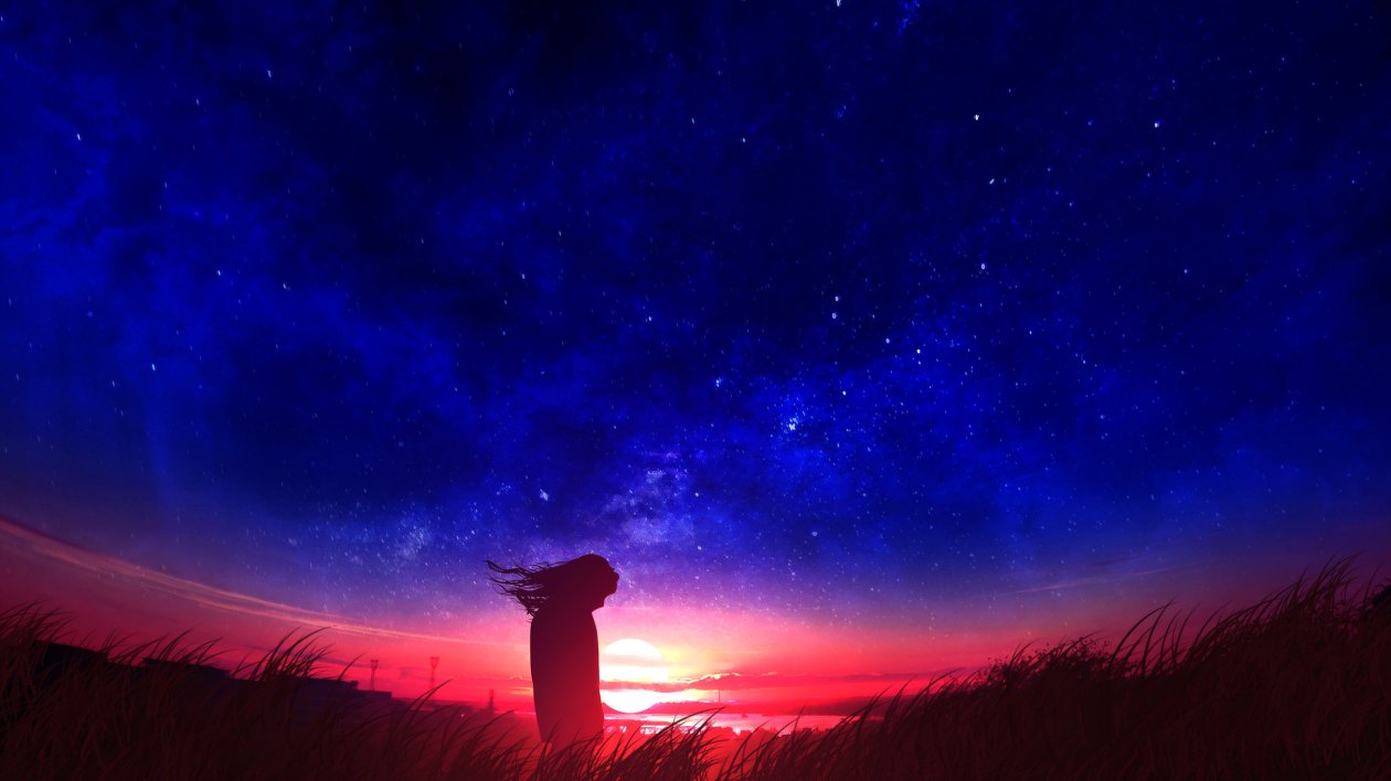 Anime Girl In Field Silhouette Sunset