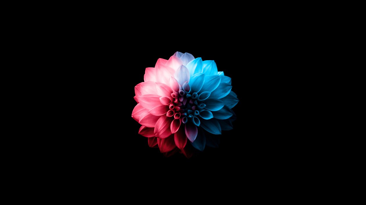 Flower Oled Dark 5k