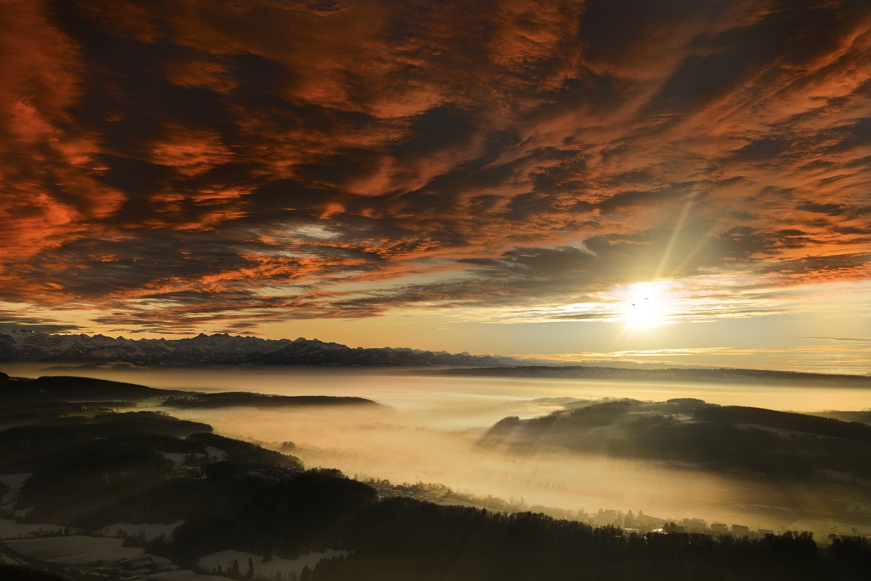 Uetliberg Sunset 5k