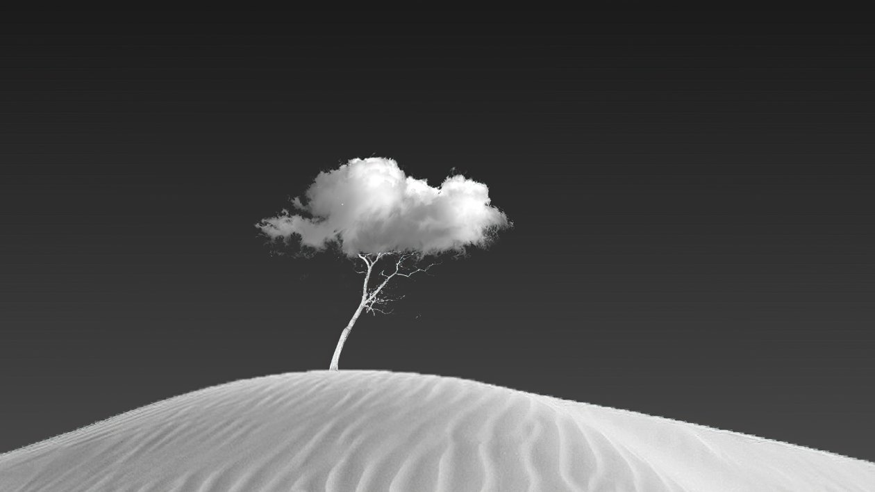 Cloud On Tree
