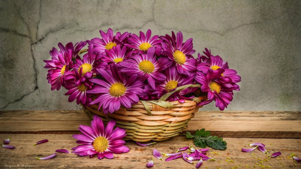 Daisies In A Basket
