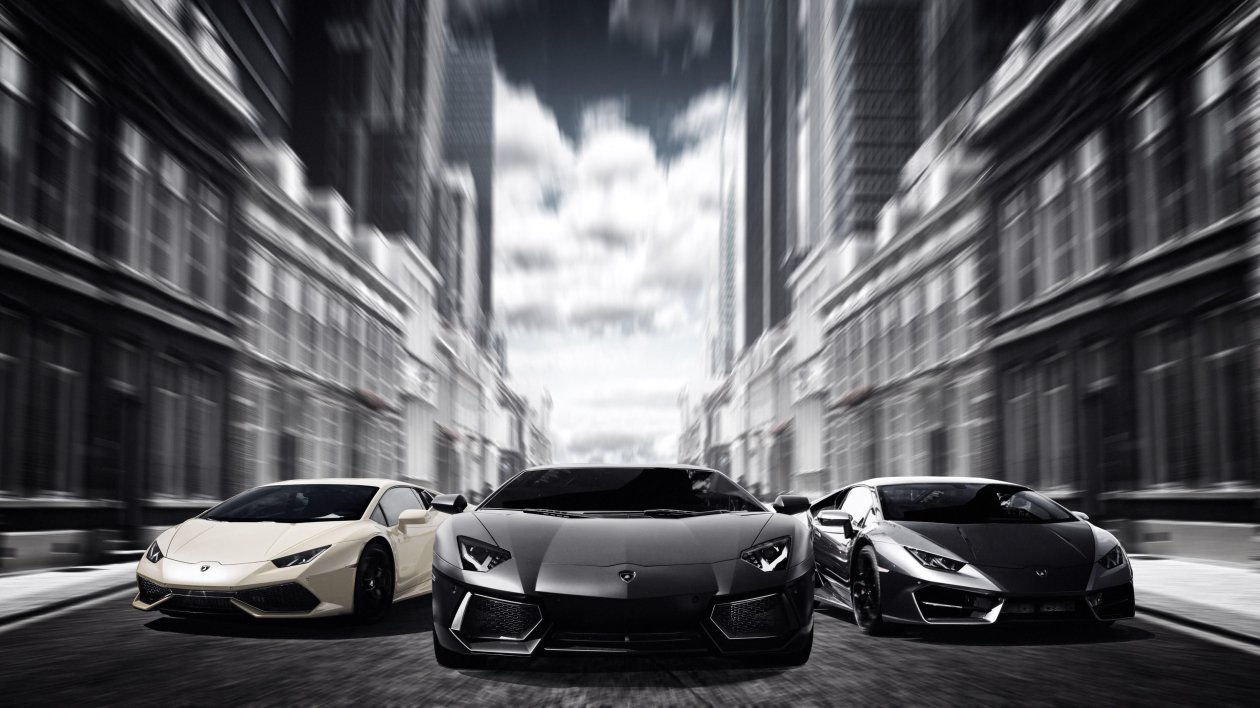 Lamborghinis Black And White 4k
