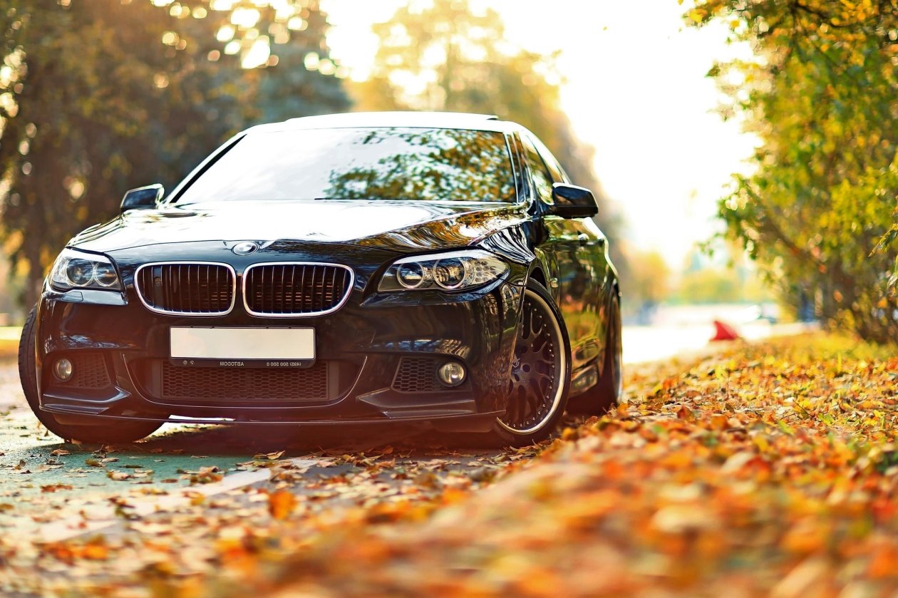 Bmw Black Beauty