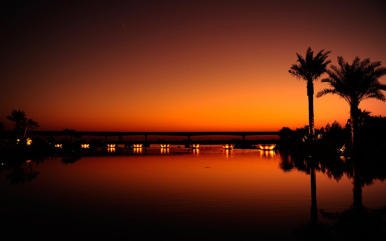 Dubai Palm Trees Sunset Reflection