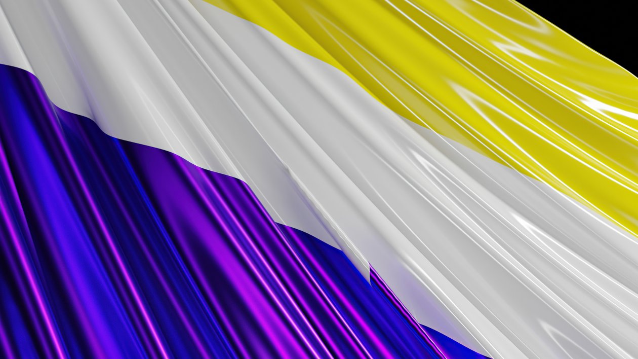 Non Binary Flag
