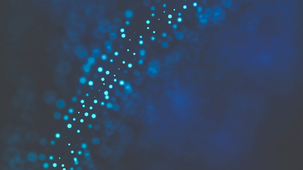 Fractals Abstract Art 4k