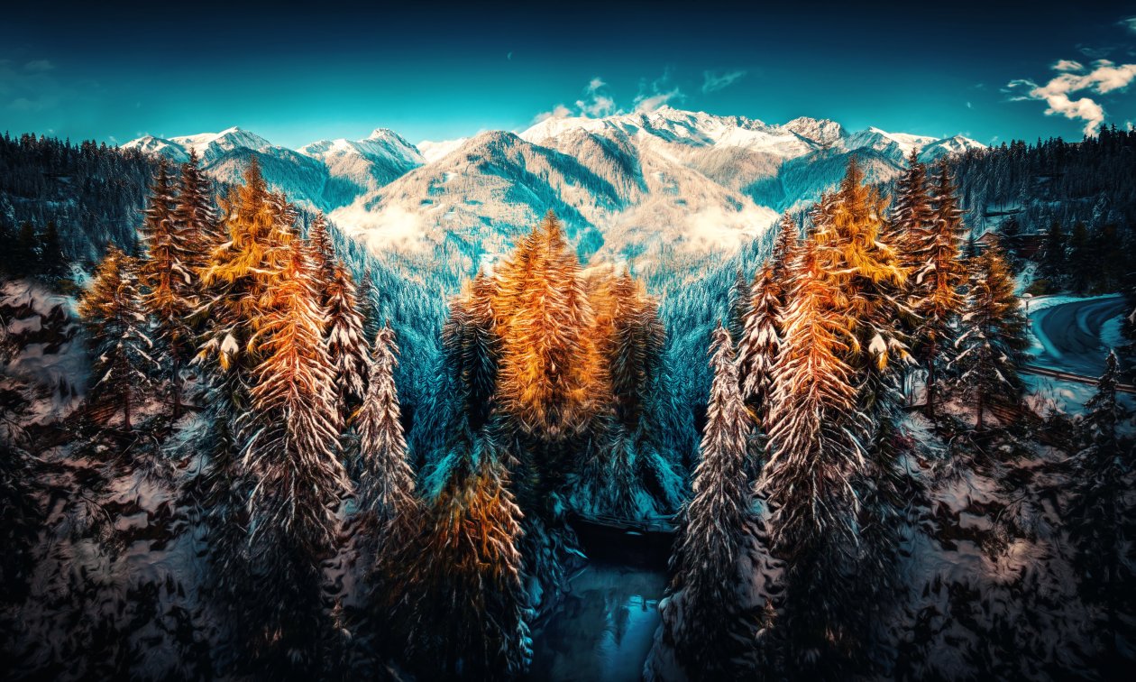 Snow Landscape Mountains Trees Forest 5k
