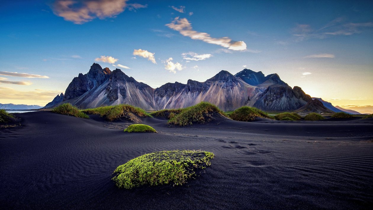 Black Desert