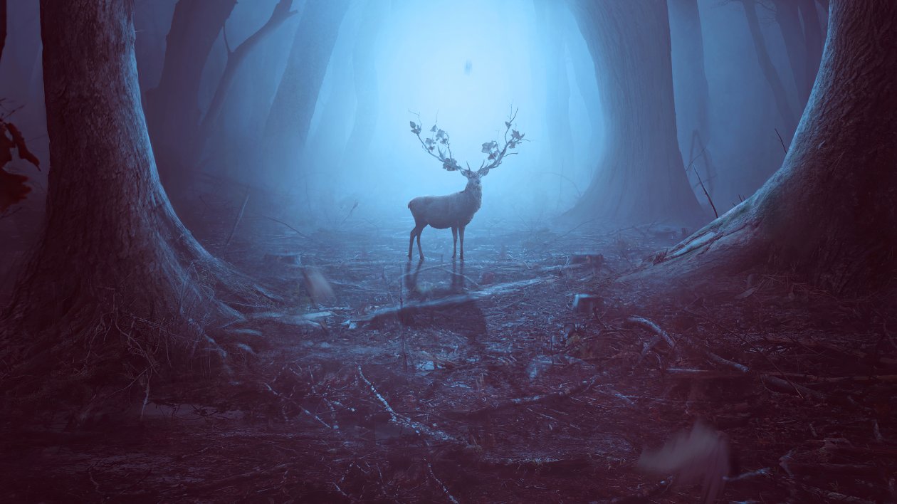 Into The Woods Reindeer 4k