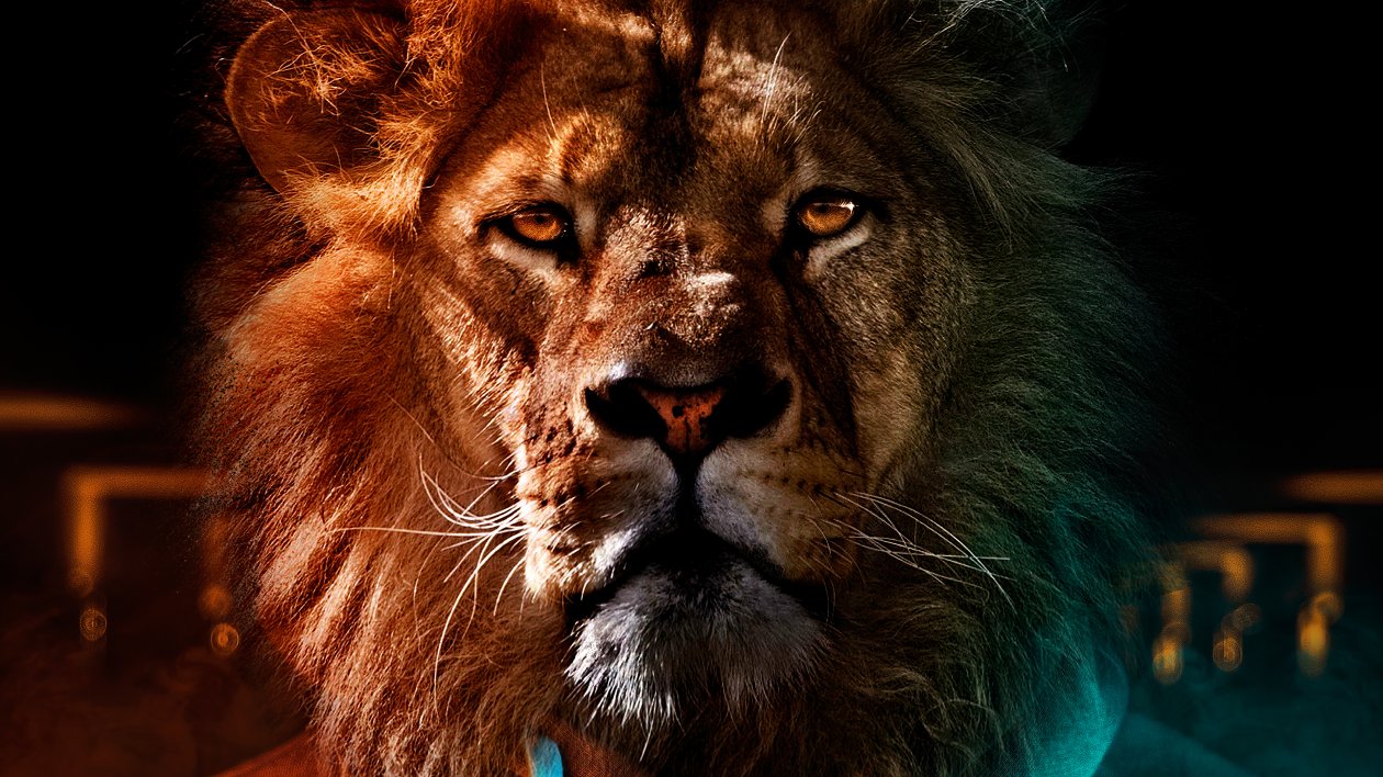 Tiger Face Man 4k