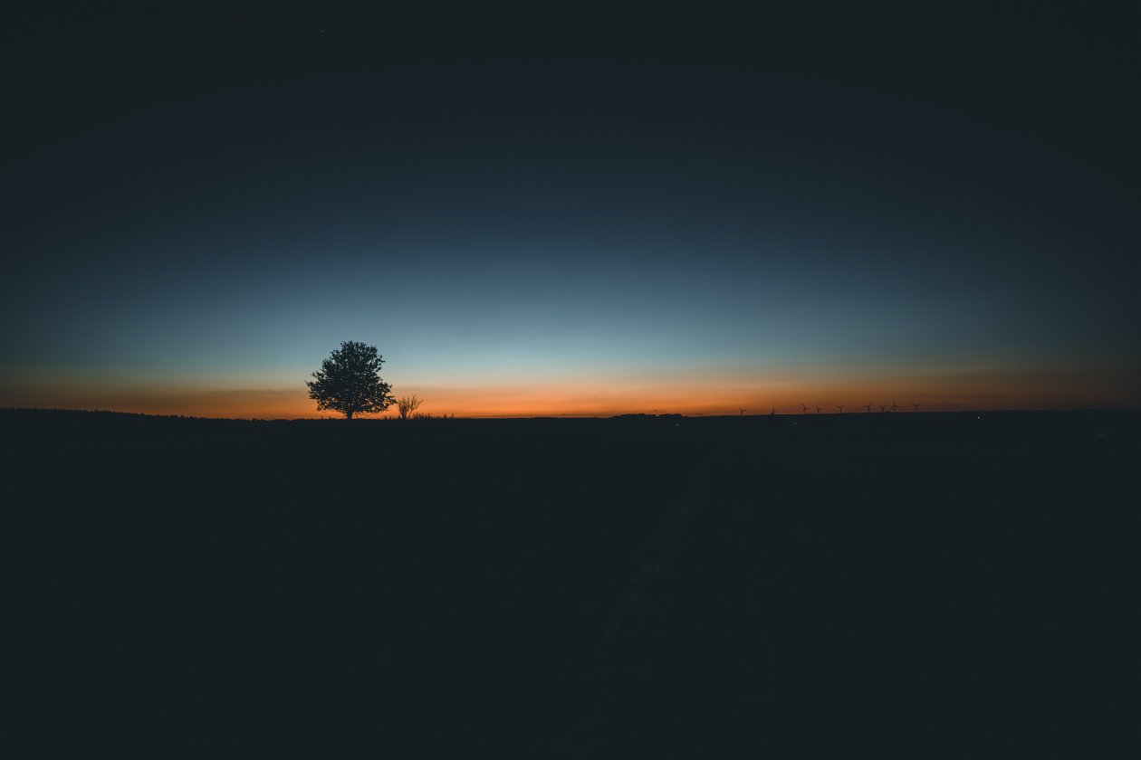 Daybreak Tree Landscape 5k