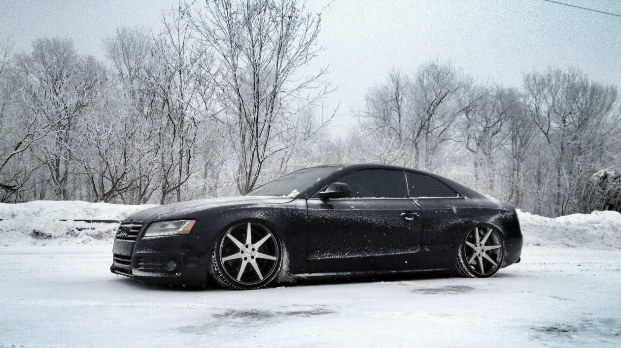 Audi In Snow