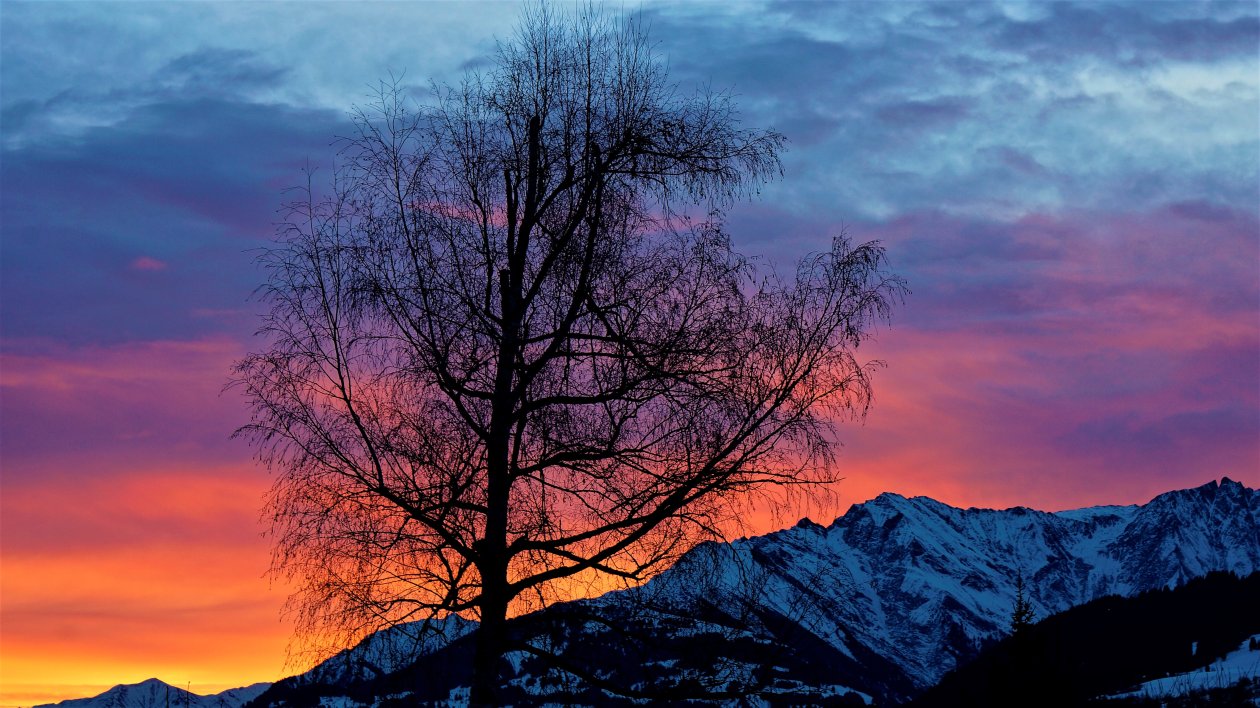 Evening Sunrise Morning Beautiful Nature