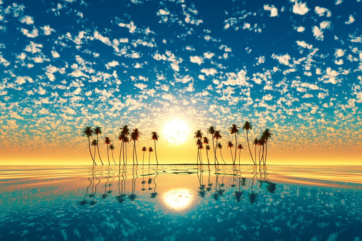 Palm Trees Reflection Sunset